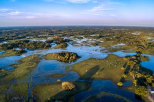 Explore o Pantanal Mato-Grossense em um safári sul-americano emocionante. Descubra o ecoturismo e a rica biodiversidade desta incrível região