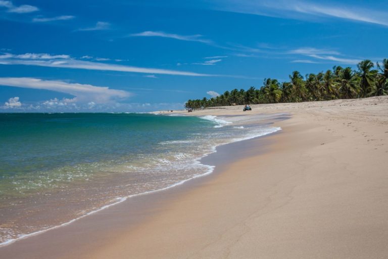 Descubra as melhores dicas para aproveitar o verão brasileiro na praia. Cuidados com a pele, atividades e mais. Prepare-se para um verão inesquecível. Confira!