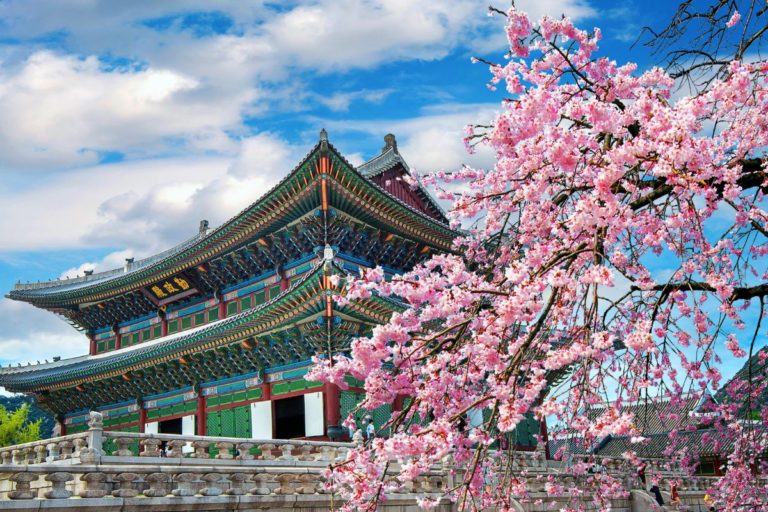Descubra a fascinante mistura de herança e modernidade em Seul, Coreia do Sul. Explore esta cidade vibrante e cheia de história.